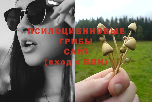 mix Саяногорск