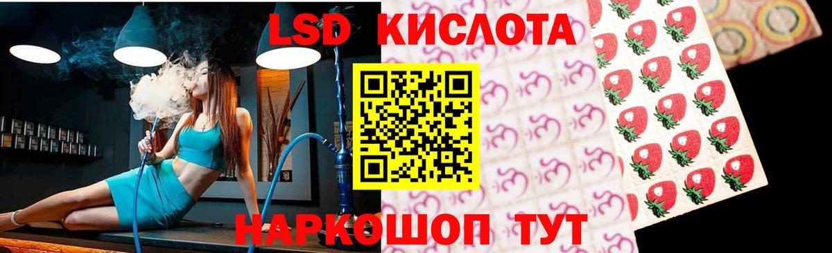 Псилоцибиновые грибы Сердобск