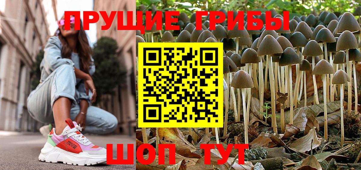 Псилоцибиновые грибы прущие грибы  Вход с VPN  Сердобск  Галлюциногенные грибы прущие грибы 