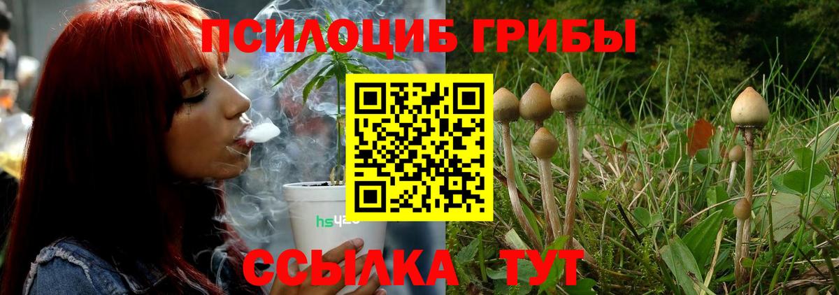 Галлюциногенные грибы мухоморы Сердобск