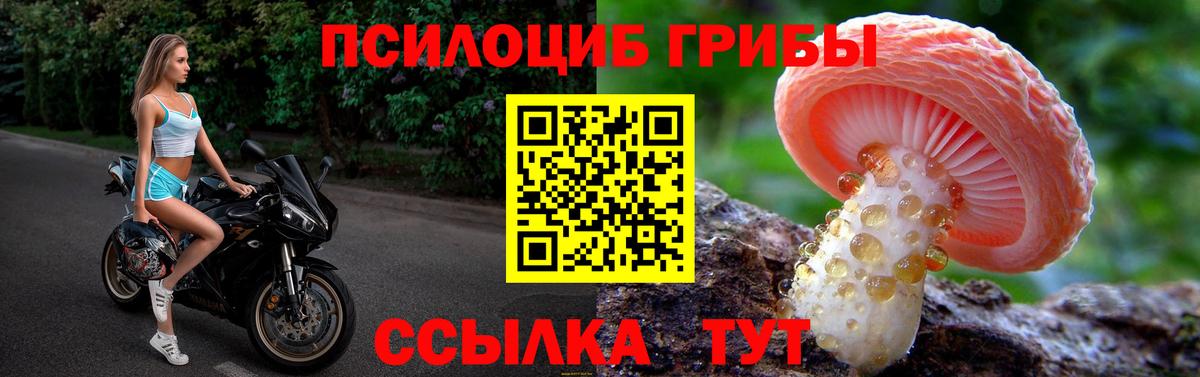 Псилоцибиновые грибы мухоморы Сердобск