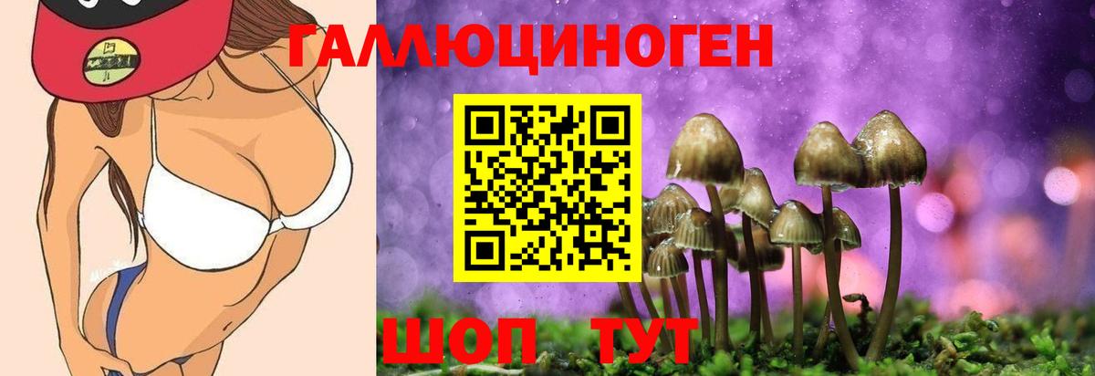 Псилоцибиновые грибы мухоморы  Сердобск  Галлюциногенные грибы Cubensis 